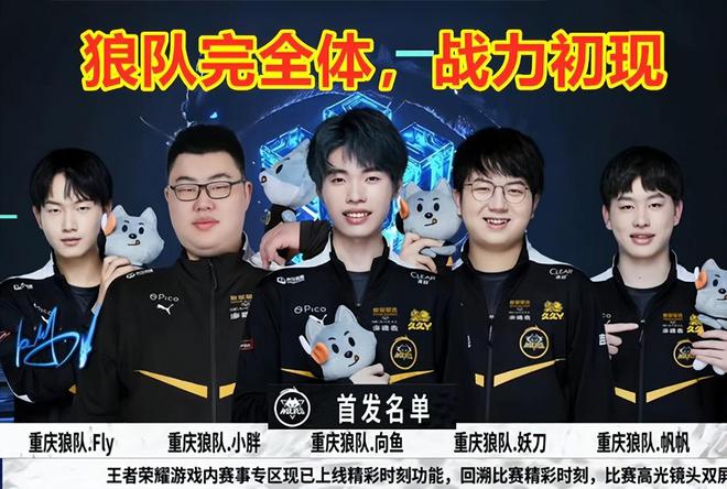 不仅提升了