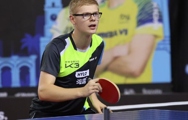 不仅展示了 不仅展示了